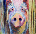 Oink in Technicolor